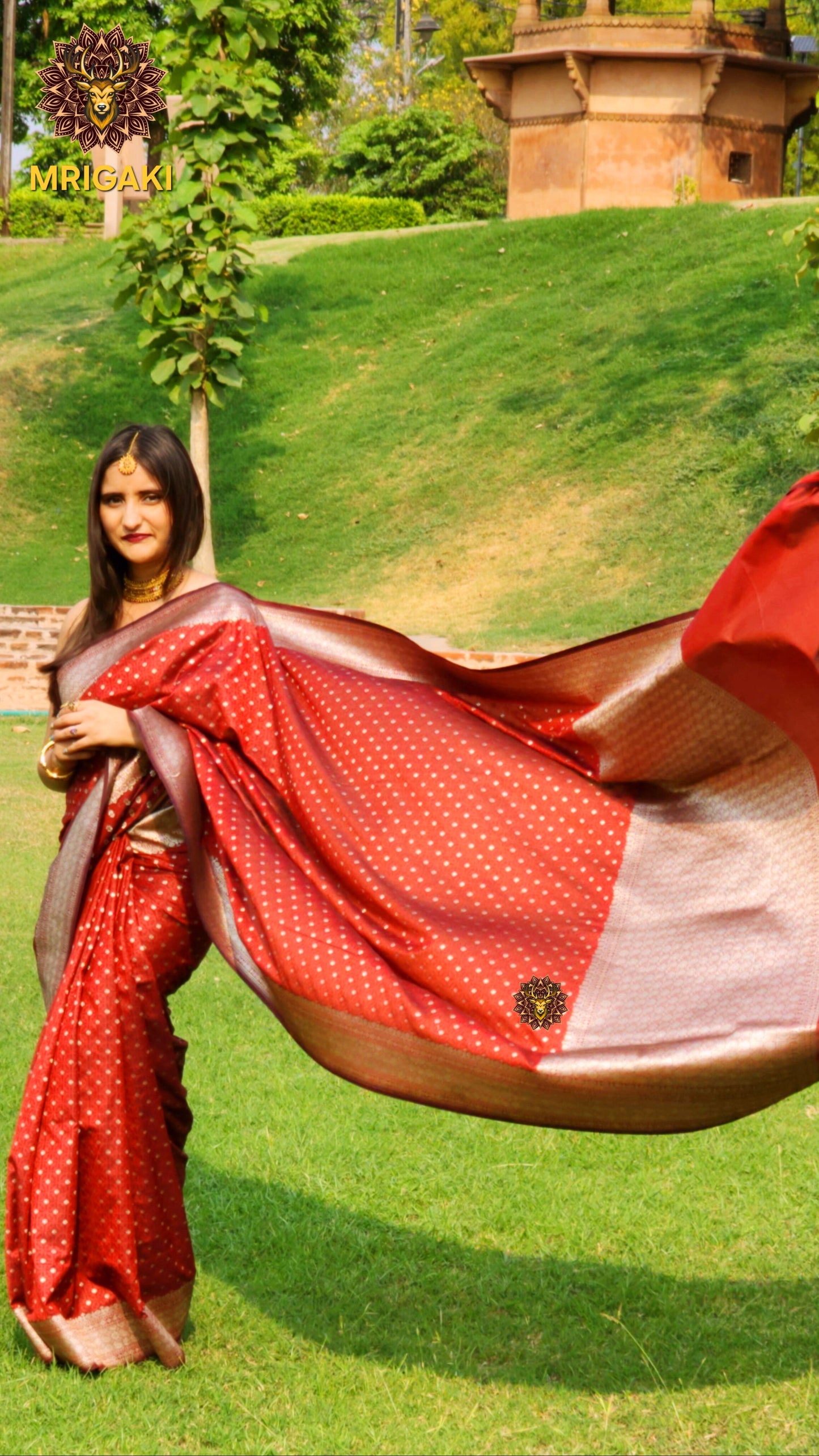 Banarasi Worm Silk Saree with Golden Zari weaving