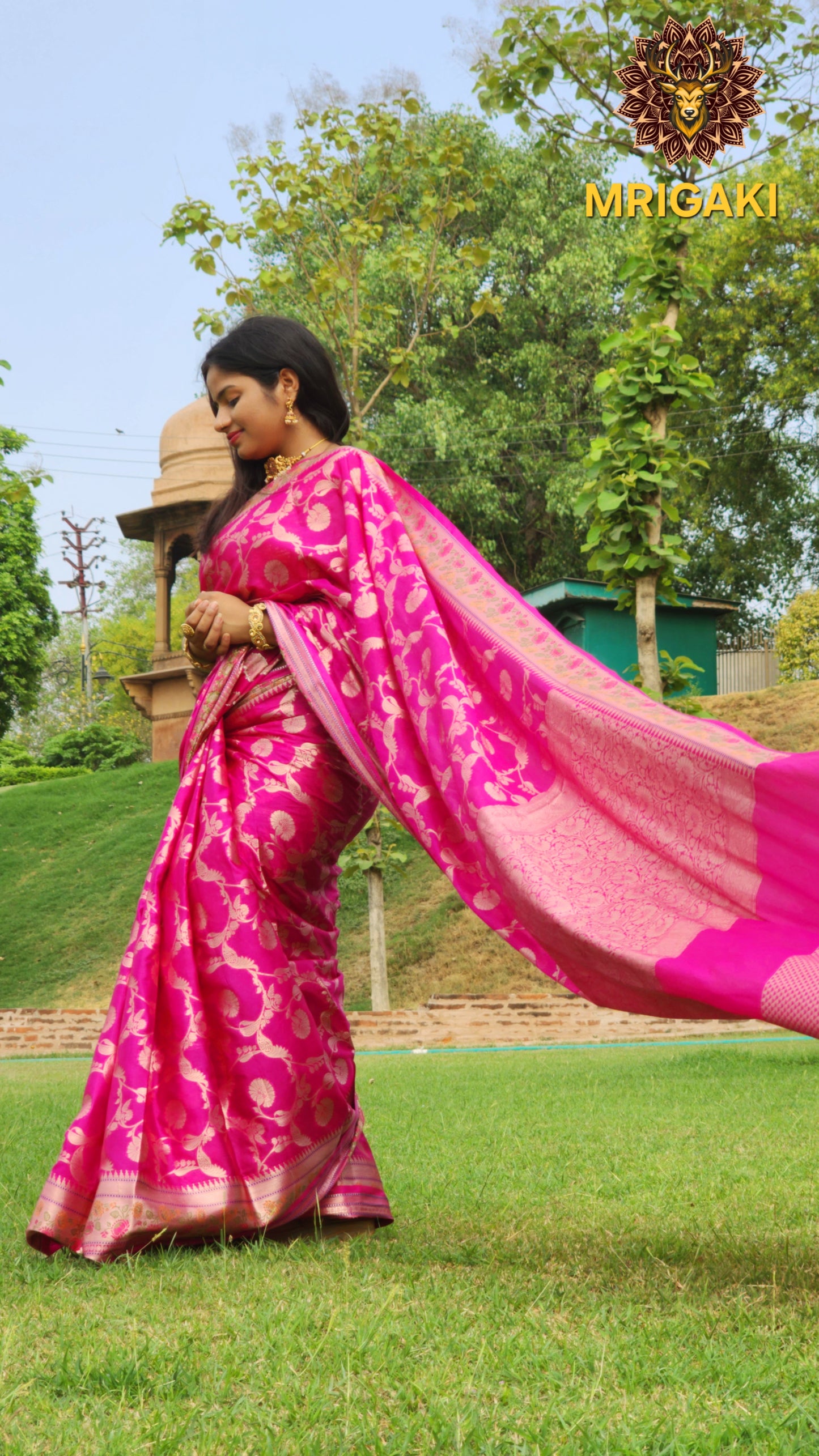 Banarasi Silk Paithni Border Pink Color Saree with Jaal Handweaving all over